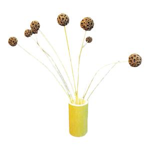 果干桌面装饰包邮文艺家居插花