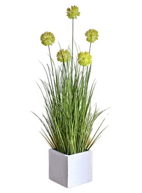 仿真植物蒲公英落地盆栽仿生绿植摆件客厅沙发边家居直播间装饰