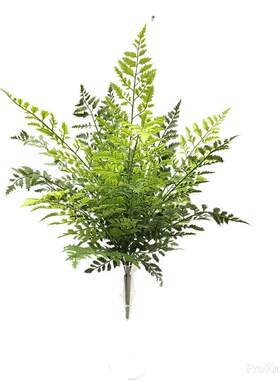 高仿真蕨类植物铁线蕨装饰绿植