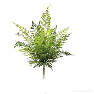 高仿真蕨类植物铁线蕨肾蕨狼尾蕨毛蕨波斯草景观造景装饰假花绿植