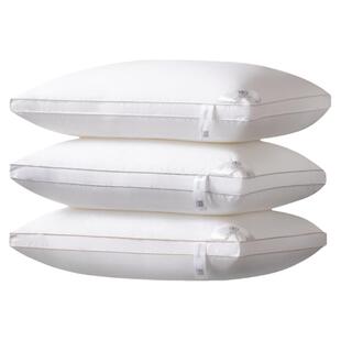 枕头一对装带枕套家用不塌陷不变形深睡眠枕芯双人护颈抗菌整头男