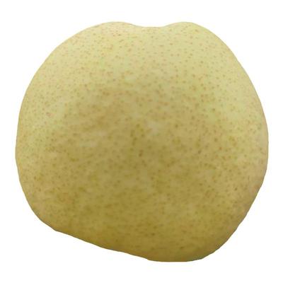 山西祁县酥梨现摘皮薄无渣多汁