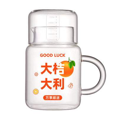 高硼硅耐高温玻璃水杯杯子带盖