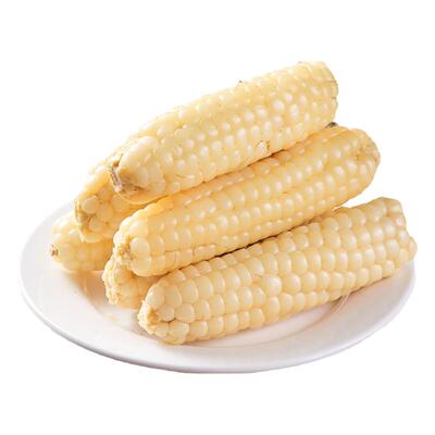 西双版纳香糯薄皮新鲜拇指玉米