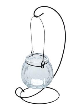 创意铁架水培绿萝玻璃花瓶容器盆办公室内桌面绿植现代摆件装饰品