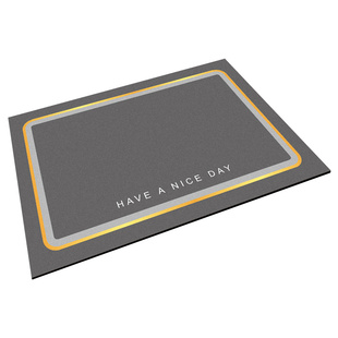 进门地垫入户门丝圈门垫家用玄关门前蹭土脚垫极简风进户门口地毯