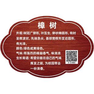 植树节挂牌树牌认养牌公园学校植物科普牌植物绿化信息牌铭牌树木介绍标识牌吊牌爱护花草果树吊牌悬挂树名牌