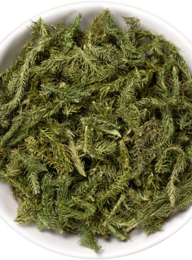 野生伸筋草中药材500克/250/100g舒筋草泡脚石松透骨草远志益智仁