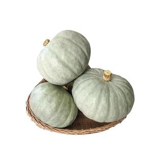 新疆银栗南瓜沙漠板栗南瓜粉糯香面贵族南瓜非贝贝南瓜宝宝辅食