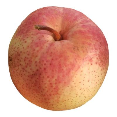 北京平谷茅山后佛见喜梨脆甜多汁