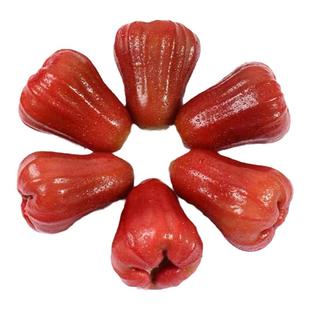 黑金刚莲雾新鲜水果5斤 当季孕妇福建脆甜海南仙女果整箱顺丰包邮