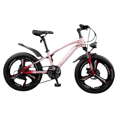 永久爆款旗舰学生车自行车