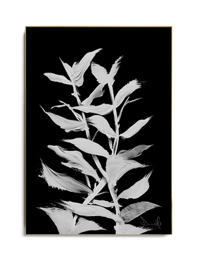 小众花卉黑色抽象风客厅装饰画