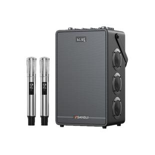 山水E92蓝牙音响户外旅行乐器电吹管萨克斯二胡大功率便携K歌音箱