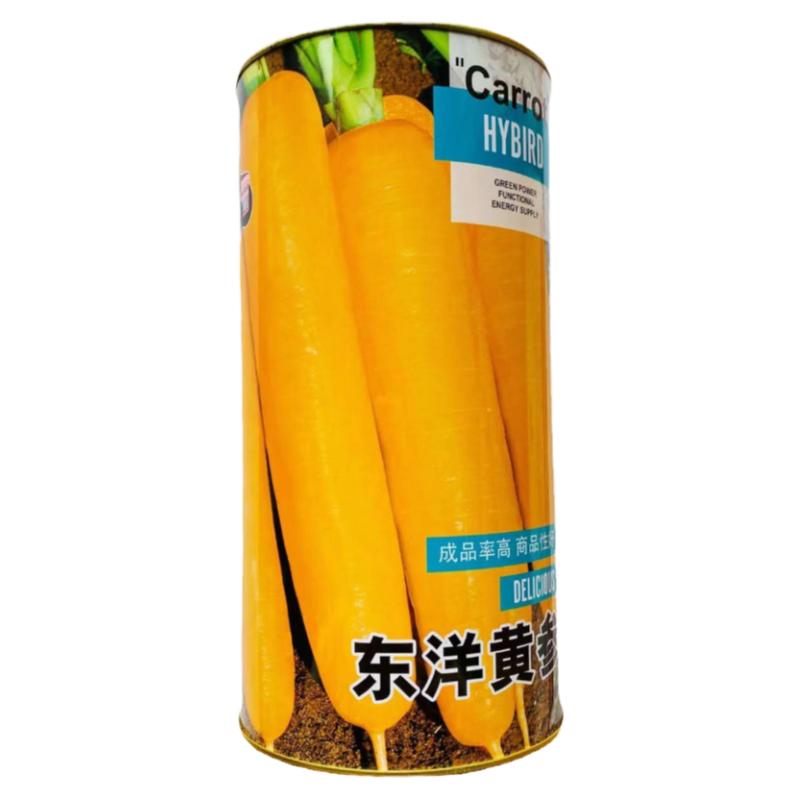 黄胡萝卜种子生吃水果萝卜种籽孑