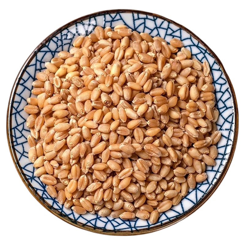 淮小麦中药材正品官方旗舰店甘麦大枣汤原料怀小麦另售甘草大红枣
