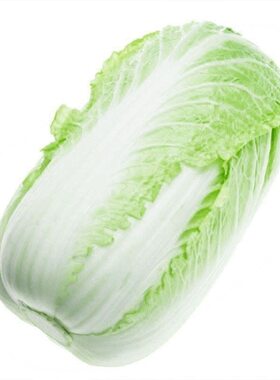 夏阳大白菜夏季抗热包心白菜40天结球白菜农家新鲜耐储存蔬菜包邮
