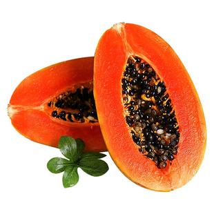 红心牛奶木瓜新鲜水果当季整箱10特产下奶树上熟正宗软糯冰糖心