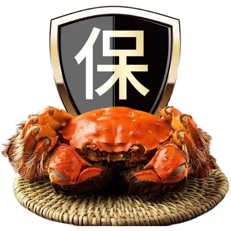 苏州鲜活大闸蟹中秋礼盒