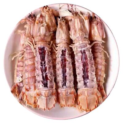 全母皮皮虾鲜活冷冻特大虾