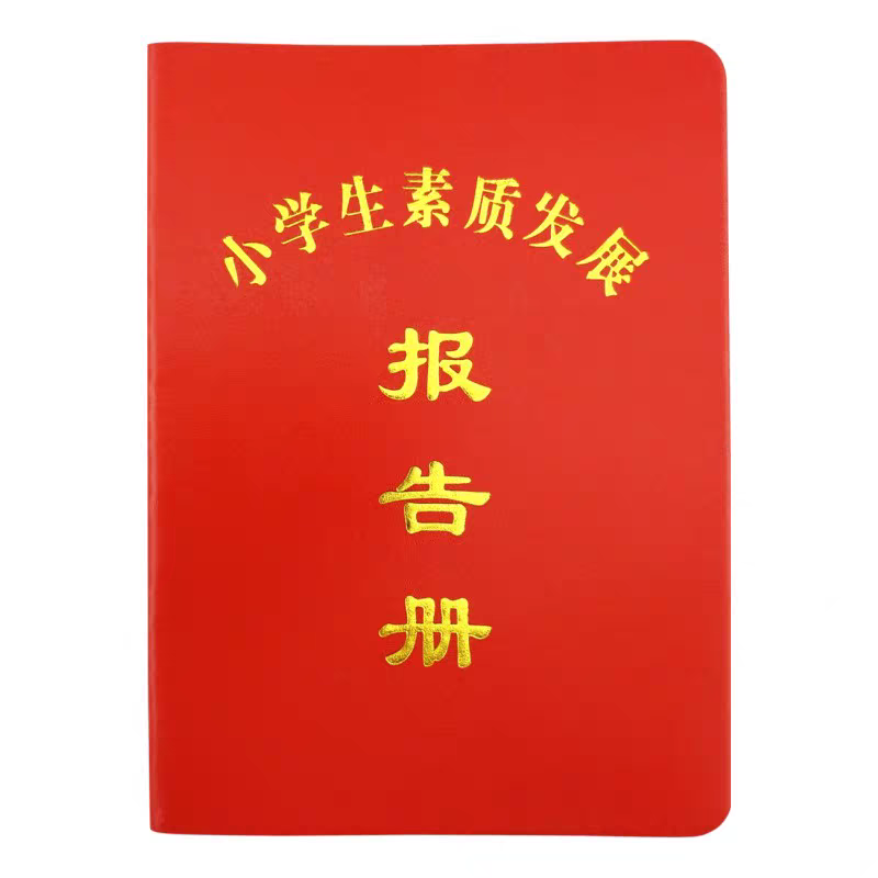 家庭成绩小学生素质发展报告书