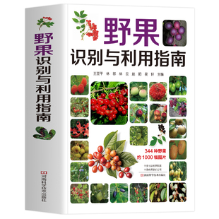 野果识别与利用指南书正版 野果图鉴 野外植物图鉴户外采摘野果大全识别手册 中国常见野生植物百科全书 可食用野果图谱指南书籍