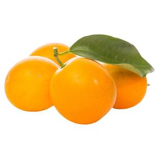 广西融安滑皮金桔果王新鲜水果5斤装现摘正宗金桔特大果金橘皮脆