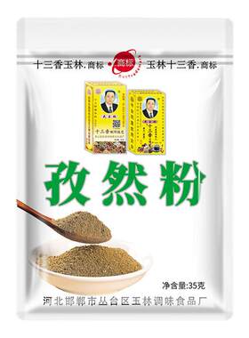 特级孜然粉35克家用撒料烧烤调料