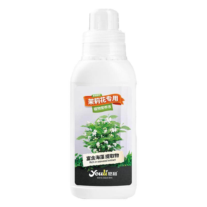 茉莉花营养液促开花延长花期悠利