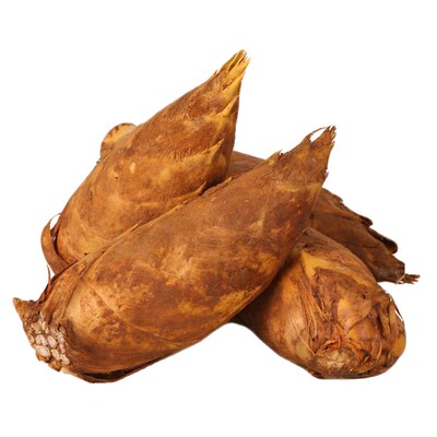 天目冬笋新鲜现挖现发