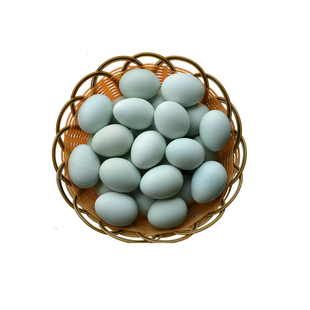 四川大凉山松针林散养跑山绿壳土鸡蛋 粮食喂养黑鸡笨蛋彝族新鲜