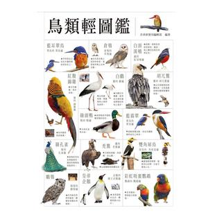 预售【外图台版】鸟类轻图鉴 / 含章新实用编辑部 和平国际