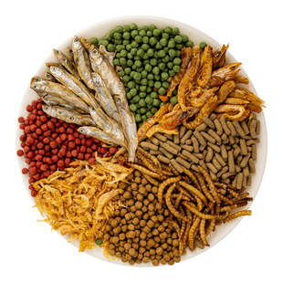 乌龟饲料通用金钱龟淡水鱼干草龟鳄龟粮食补钙巴西龟幼龟龟粮龟食