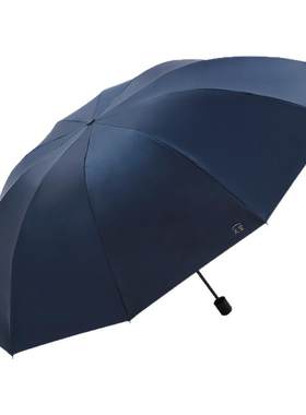 天堂伞十骨三人超大伞晴雨两用