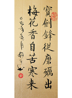 宝剑锋从磨砺出自苦寒书法作品