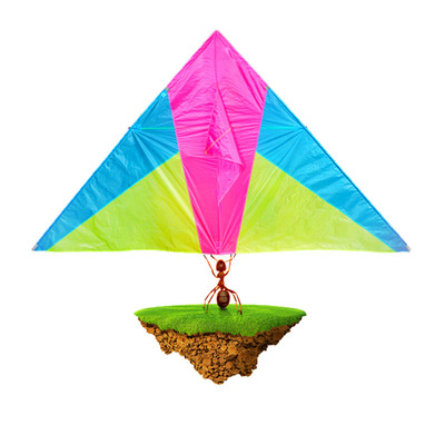 超轻p31n伞布套餐包邮碳杆追风者