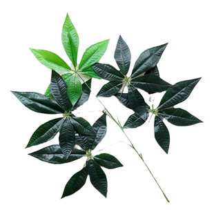仿真发财树叶子塑料手感过胶树叶工程造景装饰绿植叶假发财树枝叶