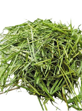 杆叶均衡熊家牧草兔子低温提摩西