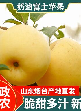 【助农】奶油苹果山东烟台黄金富士脆甜多汁丑冰糖心新鲜水果