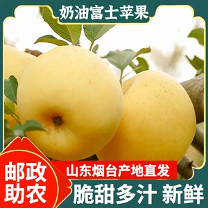 【助农】奶油苹果山东烟台黄金富士脆甜多汁丑冰糖心新鲜水果