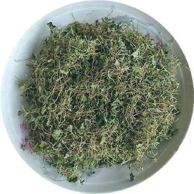 化排石效果更好小叶金钱草马蹄金