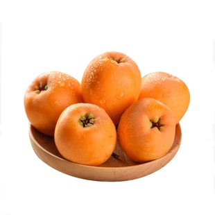 顺丰礼盒 云南蒙自枇杷5斤大果当季现摘新鲜琵琶水果整箱批把包邮