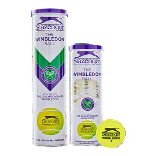 Slazenger史莱辛格网球温网比赛用球耐磨胶罐铁罐袋装散装豹子球
