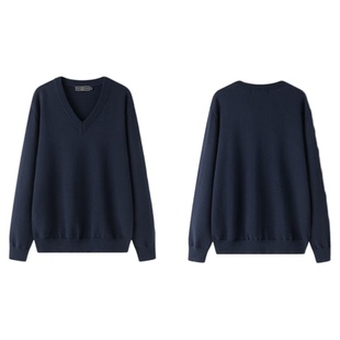 东京岁时记dk秋冬新款藏青色V领套头毛衣男校供感时尚休闲针织衫