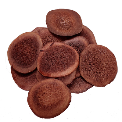 吉林直供正宗红粉片包邮50g鹿茸