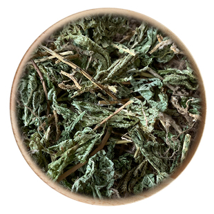 精选 中药材 石上柏 地侧柏 50克 可打粉 满包邮