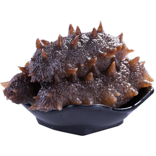 三山岛即食海参一斤装化冻即食单个装底播海参辽刺参