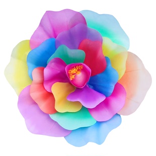 七彩牡丹花道具考级舞蹈广场舞幼儿园运动会开幕式入场牡丹花道具