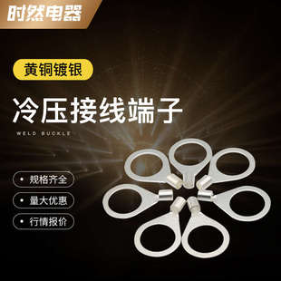 OT10平方铜鼻子线耳防静电跨接线冷压接线端子裸圆形叉型接地全铜