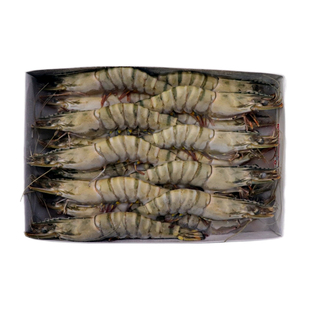 越南黑虎虾5/6草虾18头鲜活冷冻竹节虾大对虾海鲜老虎虾商用包邮